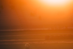 21C_FFSAVAL_ARGT_24102025-_T5A9928-2 21C_FFSAVAL_ARGT_24102025-_T5A9928-2