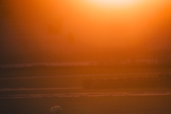 21C_FFSAVAL_ARGT_24102025-_T5A9951-2
