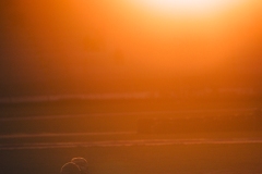21C_FFSAVAL_ARGT_24102025-_T5A9968-2 21C_FFSAVAL_ARGT_24102025-_T5A9968-2
