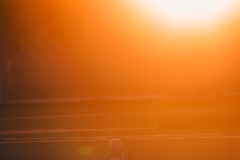 21C_FFSAVAL_ARGT_24102025-_T5A9990-2