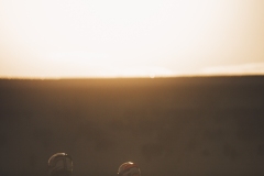 21C_FFSA_VALARGENTON_26102025-_T5A8259