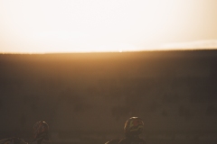 21C_FFSA_VALARGENTON_26102025-_T5A8271