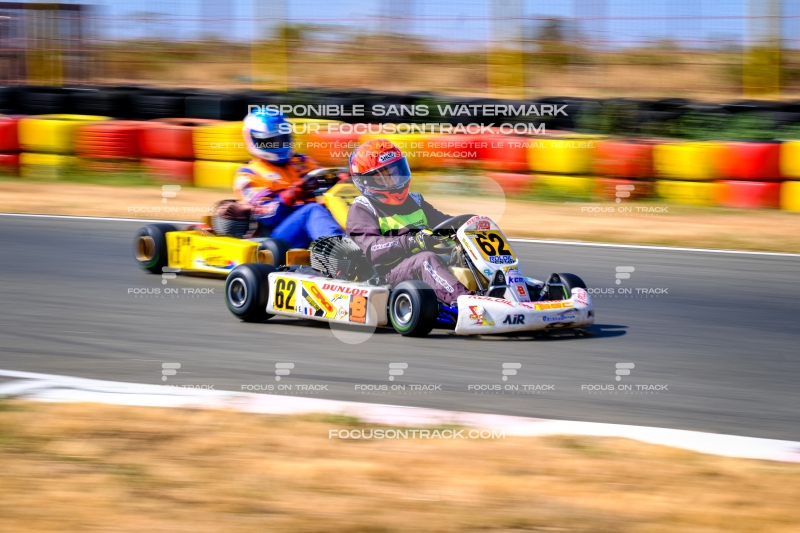 LGP_HISTOLAVAL_2026_190726_LGP06261