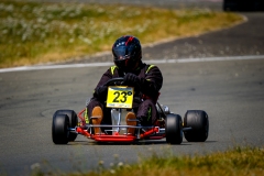 LGP_HISTOLAVAL_2026_180726_LGP04673