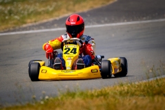 LGP_HISTOLAVAL_2026_180726_LGP04828