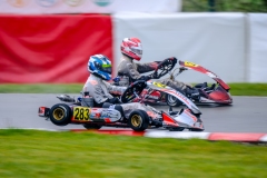 LGP_ISB1-2026_280326_LGP02021