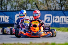 LGP_ISB1-2026_280326_LGP02501