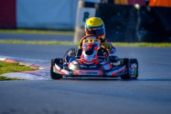 LGP_ISB1-2026_290326_LGP03516