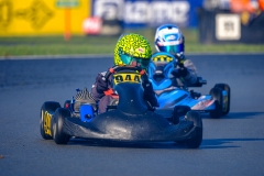 LGP_ISB1-2026_290326_LGP03824