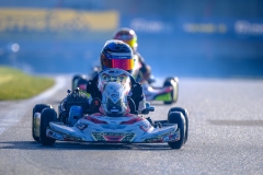 LGP_ISB1-2026_290326_LGP03851