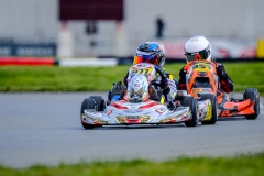 LGP_ISB1-2026_290326_LGP04590