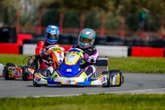 LGP_ISB1-2026_290326_LGP04803