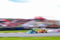 LGP_ISB1-2026_290326_LGP04909