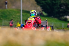 LGP_IDF1-26-LGP04086070326