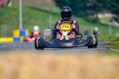 LGP_IDF1-26-LGP04602070326