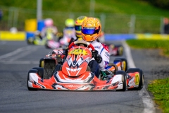 LGP_IDF1-26-LGP04740070326