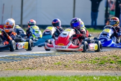 LGP_IDF1-26_08032026-LGP05896