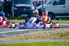 LGP_IDF1-26_08032026-LGP06110