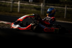 BEN_LIGUEIDF_SAL02_DB1_26682026