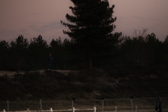 BEN_LIGUEIDF_SAL02_DB2_03772026