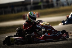 BEN_LIGUEIDF_SAL02_DB2_84712026