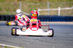 LGP_IDFSALBRIS_200326_LGP06299