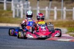 LGP_IDFSALBRIS_200326_LGP06647