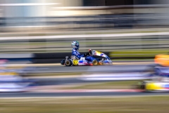 LGP_IDFSALBRIS_200326_LGP06904