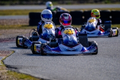 LGP_IDFSALBRIS_200326_LGP06958