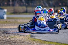 LGP_IDFSALBRIS_200326_LGP07005