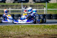 LGP_IDFSALBRIS_200326_LGP07037