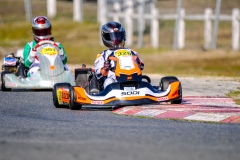 LGP_IDFSALBRIS_200326_LGP07052