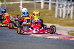 LGP_IDFSALBRIS_200326_LGP07294