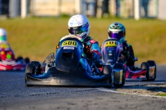 LGP_IDFSALBRIS_210326_LGP07492