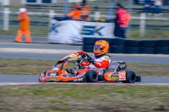 LGP_IDFSALBRIS_220326_LGP00381