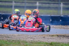 LGP_OPENKART26_21022026-LGP04713