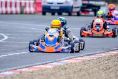 LGP_OPENKART26_21022026-LGP06373