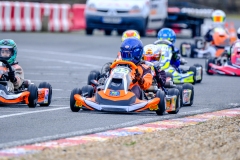 LGP_OPENKART26_21022026-LGP06381