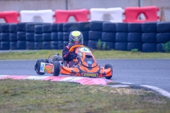 LGP_OPENKART26_22022026-LGP07168