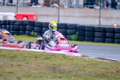 LGP_OPENKART26_22022026-LGP07320