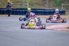 LGP_OPENKART26_22022026-LGP07520