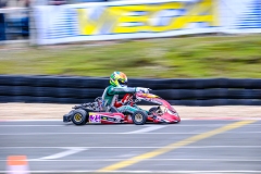 LGP_OPENKART26_22022026-LGP08310