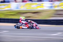 LGP_OPENKART26_22022026-LGP08414