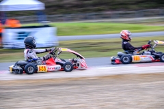 LGP_OPENKART26_22022026-LGP08441