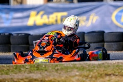 ©LGP-OPENKART2025-14022025-LGP08973