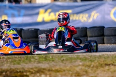 ©LGP-OPENKART2025-14022025-LGP08994
