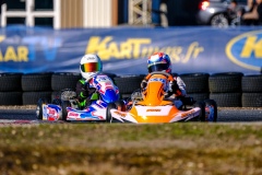 ©LGP-OPENKART2025-14022025-LGP09382