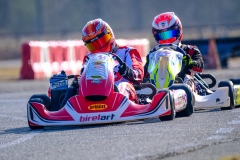 ©LGP-OPENKART2025-14022025-LGP09487