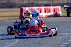 ©LGP-OPENKART2025-14022025-LGP09730