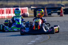 ©LGP-OPENKART2025-14022025-LGP09737